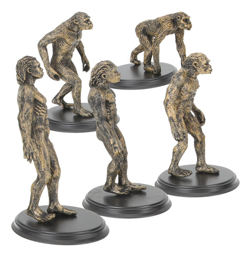 Estatuetas Humanas Primitivas, Modelo De Evolução De Macacos
