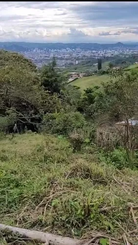 Lote En Venta, 4.375 Mt2 En Dosquebradas