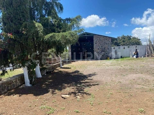 Imagen 9 de 24 de Se Vende Rancho En Hidalgo Para Inversionistas