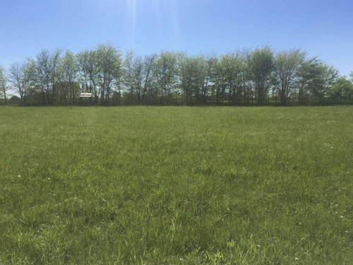 Oportunidad Venta De Amplio Lote En La Colina Villa De Campo - Mallmann Propiedades