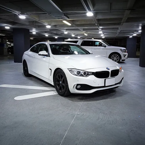 BMW Serie 4 2.0 420ia Coupe At