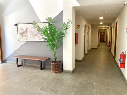 Primer Piso De Dos Dormitorios Y 2 Baños