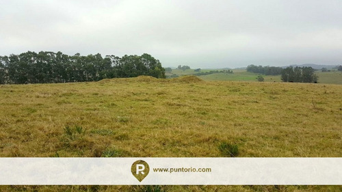 Punto Río | Campo En Castillos