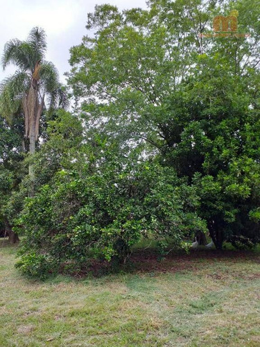 Imagem 26 de 30 de Chácara Com 2 Dormitórios À Venda, 7000 M² Por R$ 250.000,00 - Bairro Da Barra - Sarapuí/sp - Ch0111