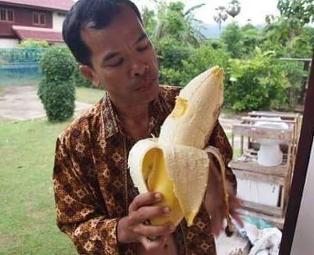 5 Semente Banana Fruta Gigante Musa Ingens Muito Rara P/muda