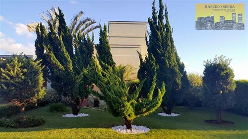 Imagem 2 de 29 de Casas Em Condomínio Alto Padrão À Venda Em Cabreuva/sp - Compre O Seu Casas Em Condomínio Alto Padrão Aqui! - 1402555