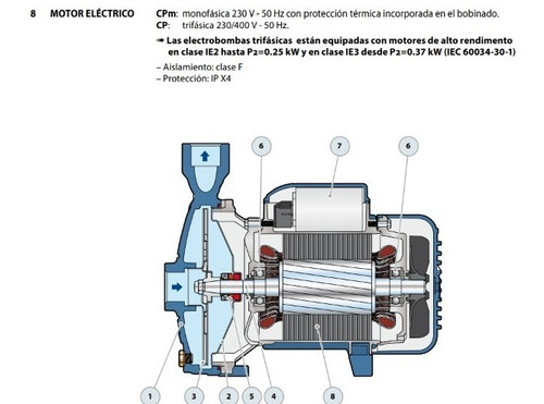Bomba Centrífuga Centrífuga Monofásica Pedrollo Cpm 158 1hp