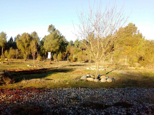 Termas De Catillo Vii Región Excelente Terreno 3 Casas