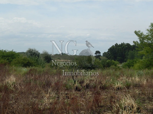 Imagen 11 de 14 de 3 Padrones De Campo Para Inversión!