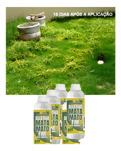 Matfim Elimina Tiriricas Em Gramados Grama Esmeralda 100ml