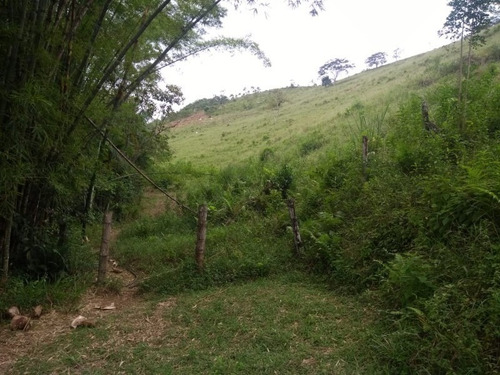 Fazenda - Fa00004 - 67650297
