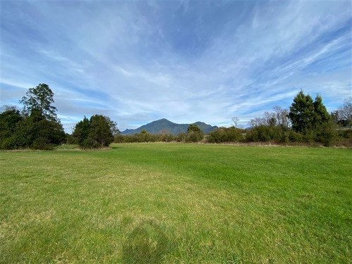 Imagen 6 de 11 de Sitio En Venta En Lago Ranco