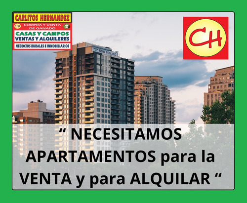 Ref 1716) ** A - Hermoso Apartamento Céntrico De 2 Dormitorios Para Alquilar, Es En San José