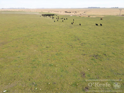 Imagen 15 de 29 de Campo Mixto De 170 Has En San Vicente. Oportunidad!