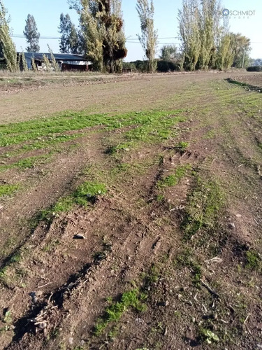 Terreno En Venta En Teno