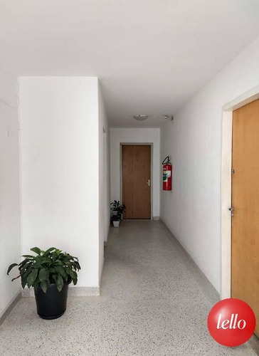 Imagem 22 de 23 de Apartamento - Ref: 237295