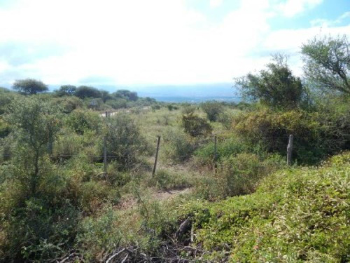 Terrenos O Lotes Venta Mina Clavero