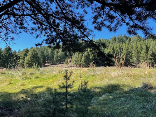 Imagen 6 de 16 de Terreno En Venta El Desafio Mountain