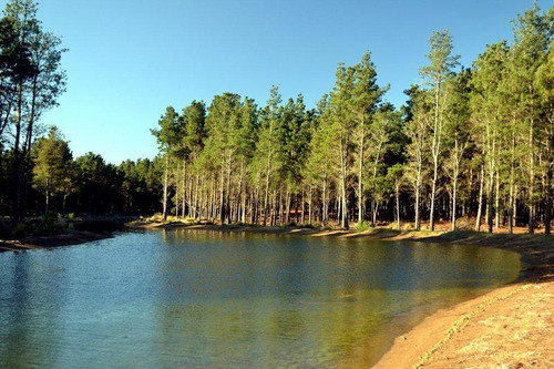 Imagen 6 de 15 de Venta - Lote Con Vista A Laguna En Villa Robles - Barrio Cerrado