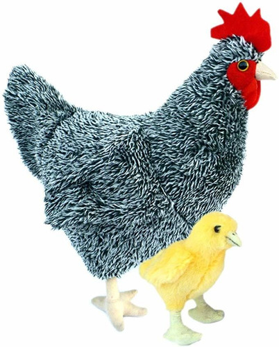 Venta De Pollos Bebe Gallos Aves En Mercado Libre Mexico Venta De Pollos Bebe Gallos Aves En Mercado Libre Mexico