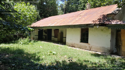 Imagen 6 de 15 de Punta Indio 100 Has Campo En Venta - Ideal Feed Lot - Oportunidad