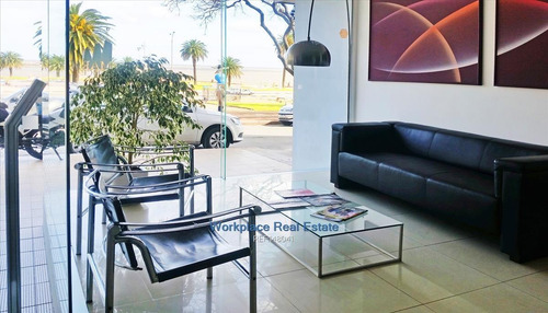 Oficina - Parque Rodó - Alquiler O Venta-