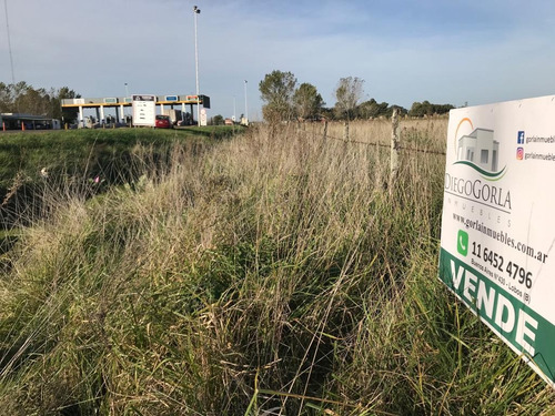#venta Campo 6 - Fracción 4.38 Has En Uribelarrea - Cañuelas