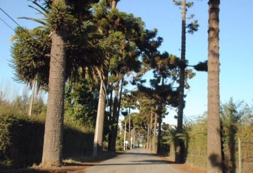 Imagen 11 de 12 de Bajó De Precio! Uno De Los Mejores Sitios En Las Araucaria