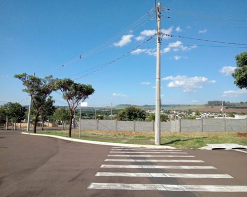 Imagem 11 de 13 de Terreno - Te00270 - 69512010