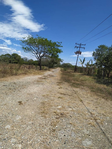 Imagen 24 de 24 de Venta Granja En La Ciudad Valencia Estado Carabobo