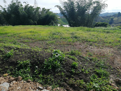 Encantadores Lotes En Parcelación San Vicente
