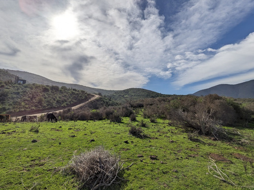 Terreno De 15.000 M² A 5 Minutos De La Playa Venta Directa