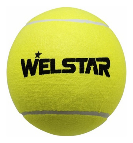 Balon De Tenis Grande