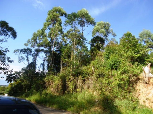 Imagem 10 de 13 de Terrenos A Venda No Parque Terceiro Lago - 11383