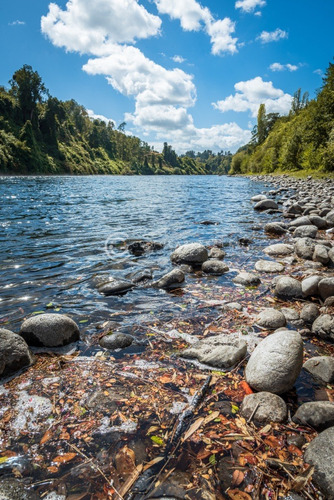 Imagen 8 de 21 de Parcelas A 18 Km De Rio Bueno Con Orilla De Rio