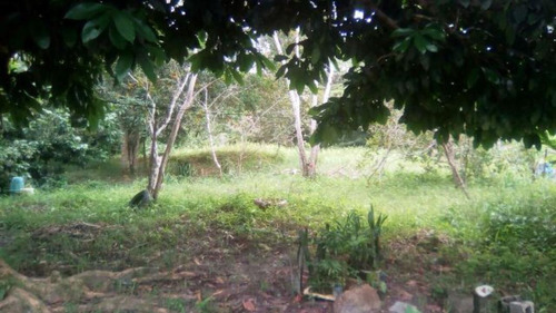 Terreno De Chácara Desmatado No Bopiranga - 3951 | Npc