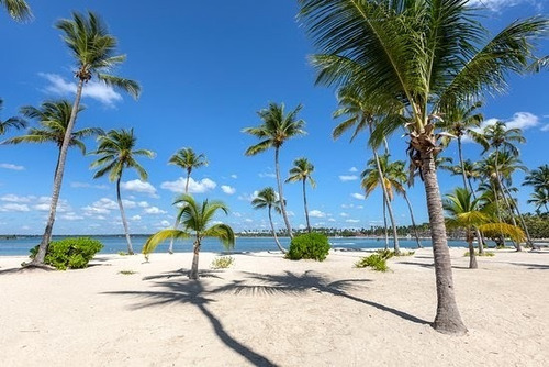Imagen 8 de 23 de Venta De Solares Para Tu Casa O Villa, Playa Nueva Romana
