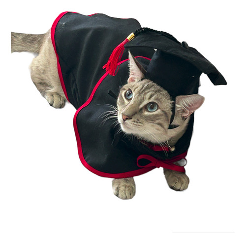 Disfraz De Graduado Para Mascotas Talla 2