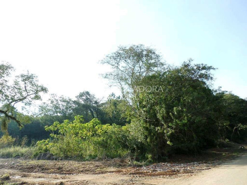 Imagem 1 de 10 de Terreno - Belem Novo - Ref: 226051 - V-226051