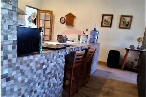 Campo En Venta - Colliguay- Iv Region-paltas