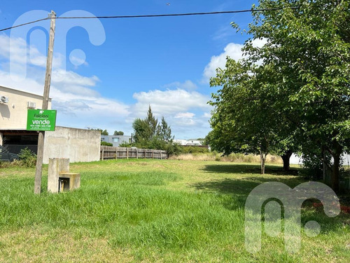 Imagen 2 de 8 de Terreno - City Bell