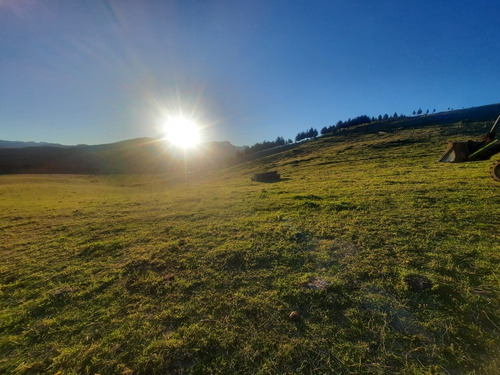 Parcela En Venta Coyhaique Sector Emperado Guillermo