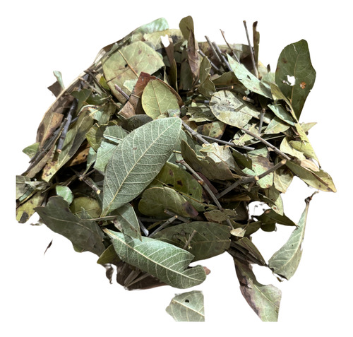 Congonha Do Campo 100gr - Erva Desidratada