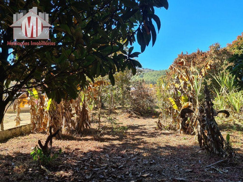 Imagem 18 de 30 de Ótima Chácara Com 2 Dormitórios, Córrego Nos Fundos, Pomar, Acesso Asfaltado, À Venda, 2000 M² Por R$ 280.000 - Rural - Socorro/sp - Ch1005