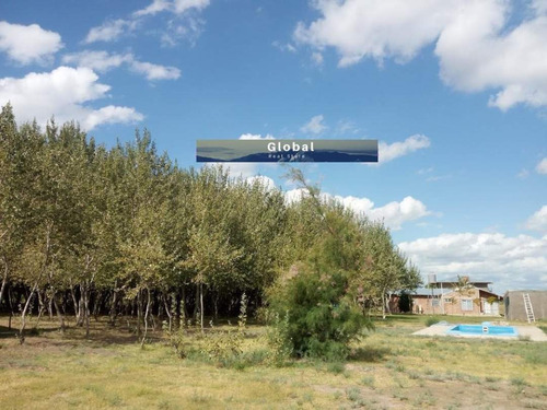 Imagen 12 de 26 de Excelente Finca De 31 Has En San Rafael , Mendoza Zona Vitivinícola Argentina