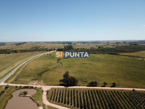 Imagen 9 de 13 de Campo En Garzón Venta Turístico