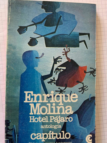 Hotel Pajaro Antologia Enrique Molina