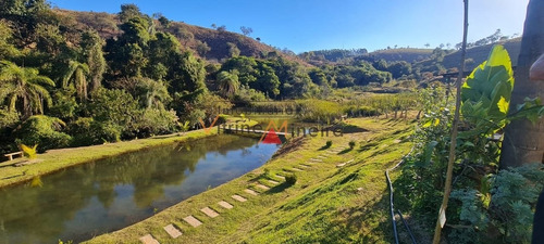 Imagem 9 de 15 de Sítio Em Biquinhas De Pedras - Itatiaiuçu - 13784