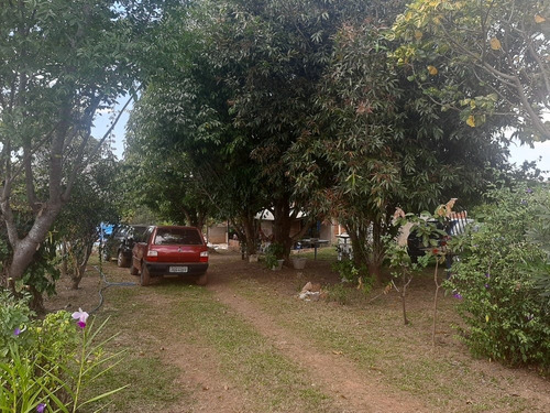Chácara Frutífera Em Águas Lindas, Com Casa De 3/4