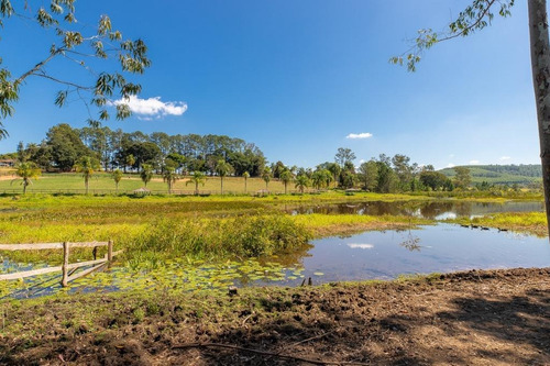 Imagem 18 de 30 de Fazenda À Venda No Bairro Sarapuí - Sarapuí/sp - O-8420-17443